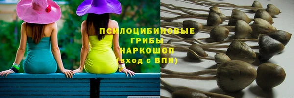 молекула духа Весьегонск