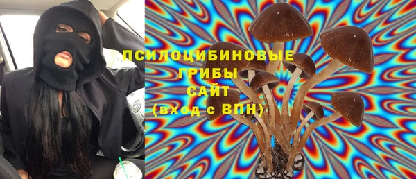 a pvp Богородск