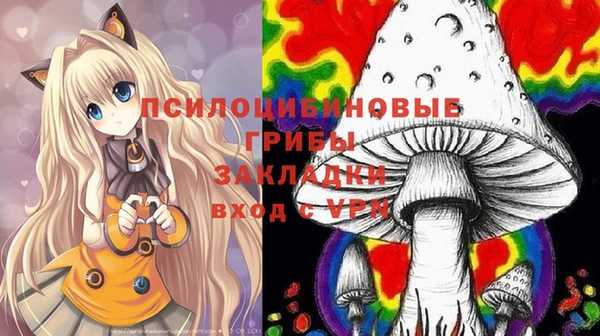 a pvp Богородск