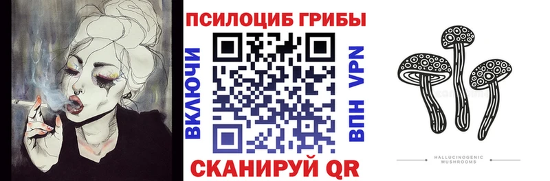 Галлюциногенные грибы MAGIC MUSHROOMS  где найти   Горнозаводск 